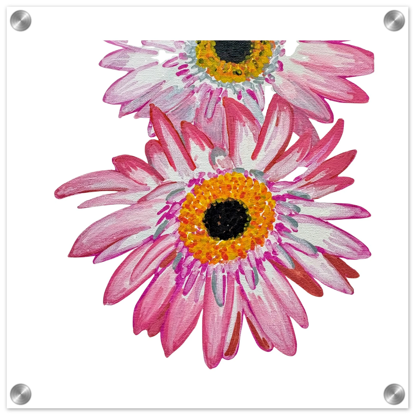 5db903be-f988-4e2e-b3c8-9e05350f1788