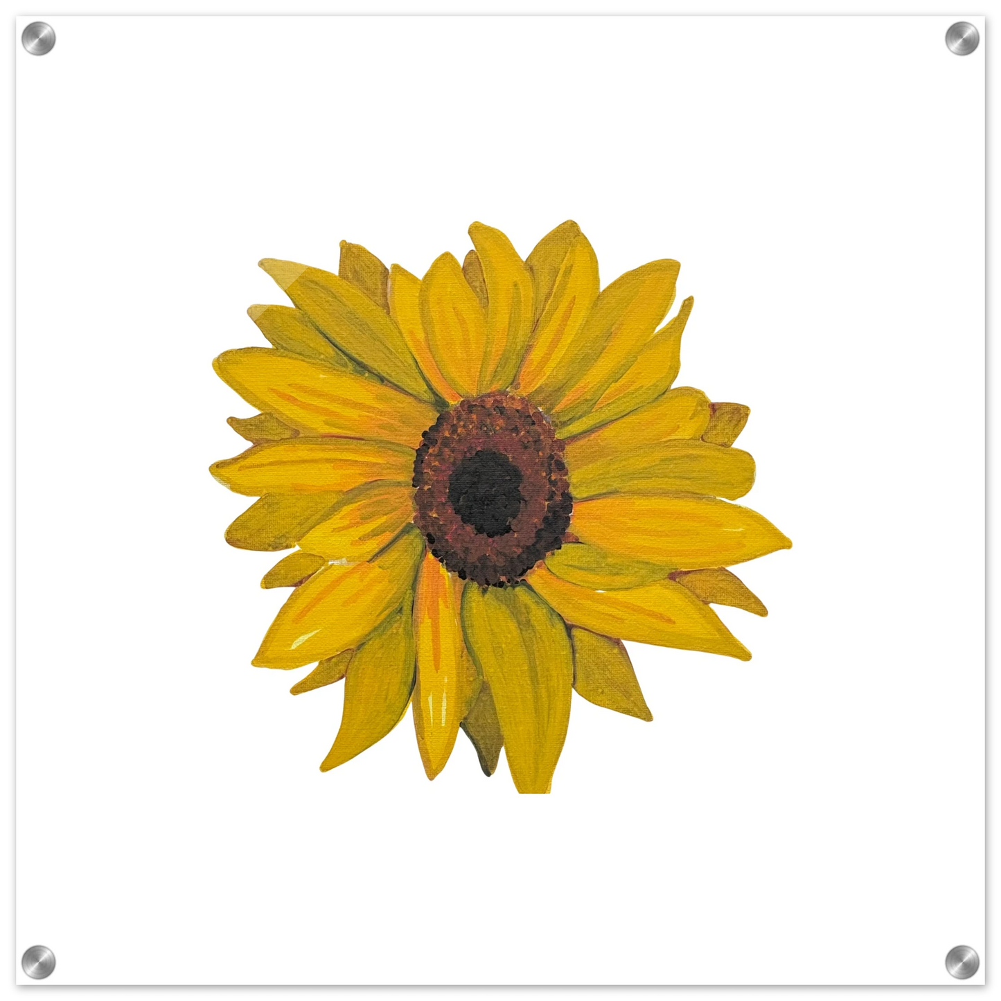 cc8ef7b6-e6da-48f9-8001-e480ce2f48f5