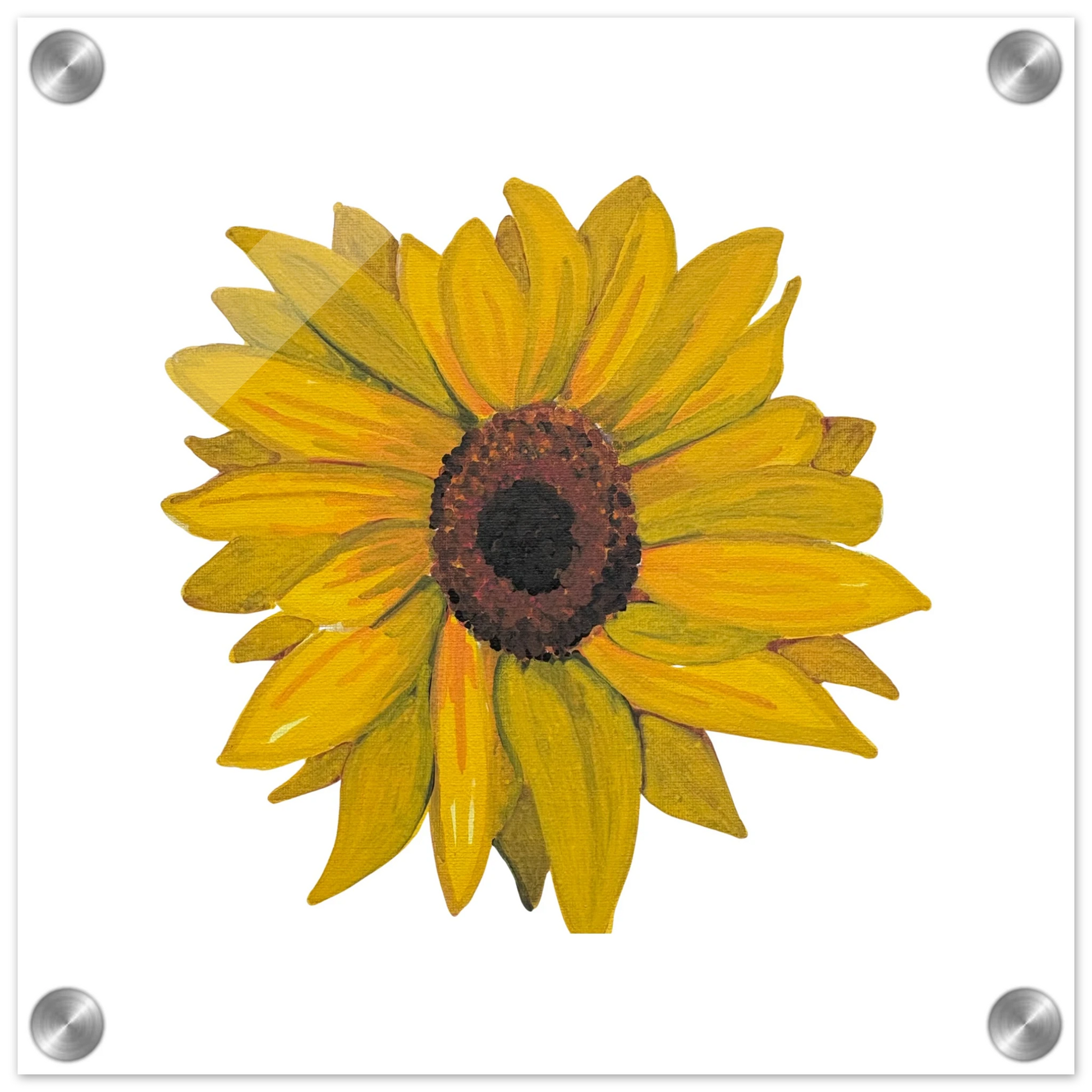 38e57d7d-1517-4539-be92-895ca577cd04