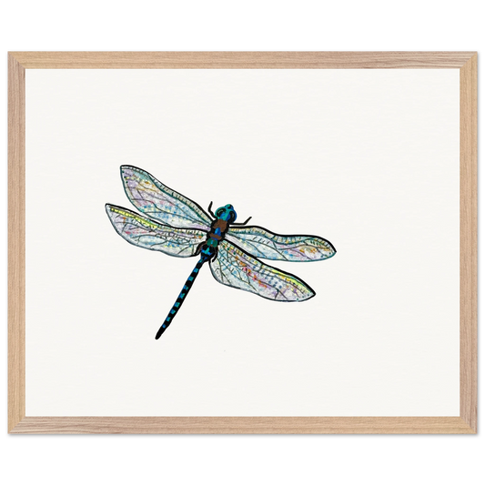 61df97c5-7efd-4d2f-9514-2b6d8041bf61