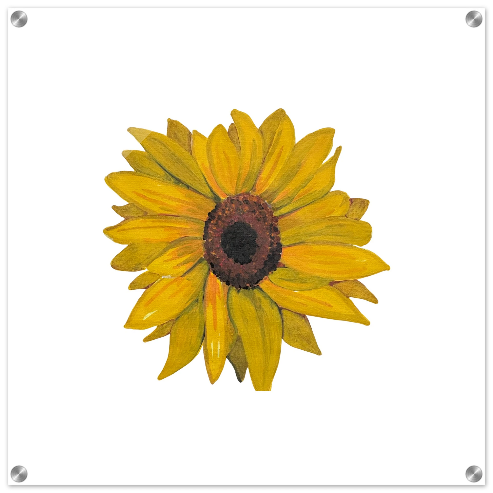 cc8ef7b6-e6da-48f9-8001-e480ce2f48f5